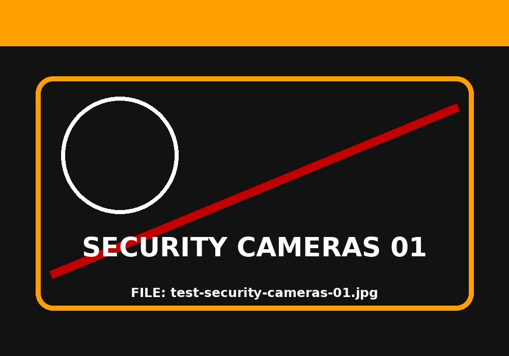 Security Cameras 01